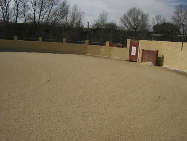  Arena del coso 
